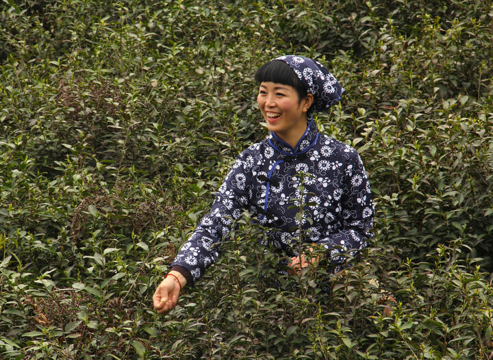 伊在人线永久免费观看区 排行4